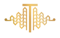 Toiere - Te Tauihu Māori Business Network